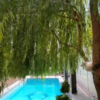 واحد مبله اجودانیه تمیز شمال تهران|اجارهٔ کوتاه‌مدت آپارتمان و سوئیت|تهران, آجودانیه|دیوار
