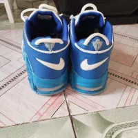 کتونی|کیف، کفش، کمربند|بروجرد, |دیوار