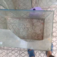 اکواریوم