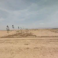 زمین-کشاورزی