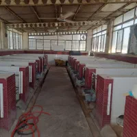 کارگر ایرانی شیردوش تمام وقت + خانه رایگان|استخدام صنعتی، فنی، مهندسی|جوادآباد, |دیوار