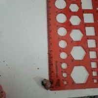 حلزون آلبینو