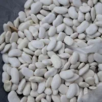 لوبیا سفید درجه یک پاک شده