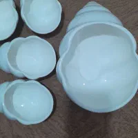 آجیل خوری وجا میوه