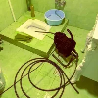 لوله بازکنی چاه بازکنی فنرزنی بشرط(100%تضمینی)24س