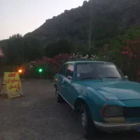پژو۵۰۴