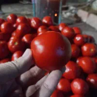 رب خانگی|خوردنی و آشامیدنی|تهران, جمال‌زاده|دیوار