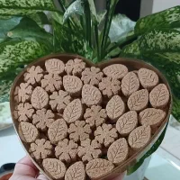 فروش انواع قند و نبات های گیاهی، فانتزی و رژیمی|خوردنی و آشامیدنی|شیراز, فاضل|دیوار