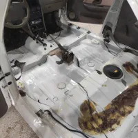 نیازمند نیروی کارواش