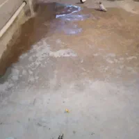خونه-رهن-و-اجاره-داد-میشودسیدخلف