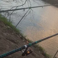 لانسر چرخ دار  کالو وسایل