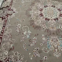 قالی درحدنو