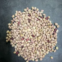 لوبیا چیتی و قرمز و چشم بلبلی و نخود و لپه و ماش و|خوردنی و آشامیدنی|تهران, منصوریه (پل سیمان)|دیوار