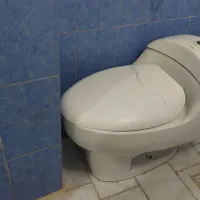 توالت فرنگی
