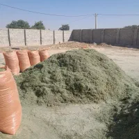 یونجه خرمنکوب|خدمات باغبانی و درختکاری|بهبهان, |دیوار