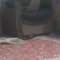 اسباب منزل ازیزدبه کازرون