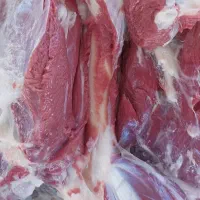 گوشت گوسفند