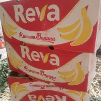 قوطی موز صندلی چرخ دار وفریزرصندوق دار|یخچال و فریزر|تبریز, |دیوار