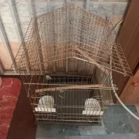 قفس پرنده بزرگ قفس عروس هلندی طلایی بزرگ