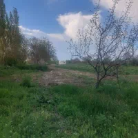 زمین-کشاورزی-با-برق-واب