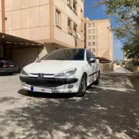 ۲۰۶ تیپ ۵ استثنایی