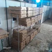 اردک پکنی و جوجه گلپایگانی یک روزه|حیوانات مزرعه|رودبار, |دیوار