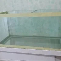 آکواریوم سالم و بزرگ