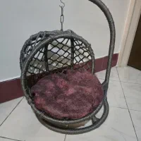 تاب گربه|لوازم جانبی حیوانات|تهران, یاخجی آباد|دیوار