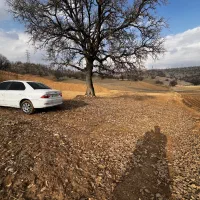 طرح تاسیس و پروانه مرغداری گوشیتی ۳۰۰۰۰قطعه