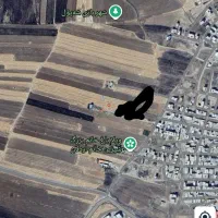 گلسفید روانسر