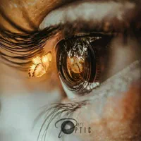 منشی مطب بینایی سنجی خانم