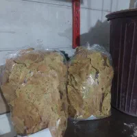 نیازمند پیشکار برای نانوایی خشکی پزی هستم