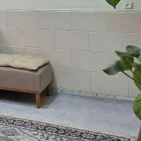 موکت پرز بلند|موکت|اهواز, خیابان ۳۰ متری|دیوار