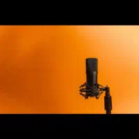 استخدام گوینده