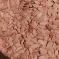 تخمه کدوآجیلی