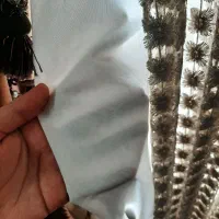 پرده پذیرایی|پرده، رانر، رومیزی|بروجرد, |دیوار