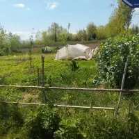 زمین مسکونی روستایی گیلان