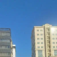 همخونه-ی-شاغل-خانم