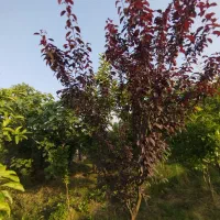 400متر زمینی مسکونی