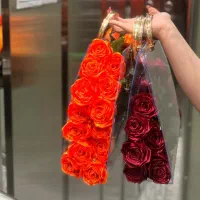 گل ربانی|گل مصنوعی|الیگودرز, |دیوار