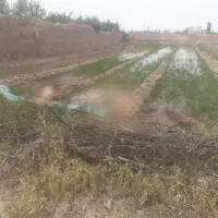 زمین-مناسب-باغ-ویلا