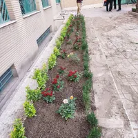 خدمات باغبانی طراحی فضای سبز کاشت گل