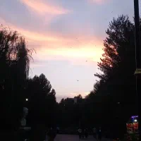 مغازه-صنوف-الاینده2