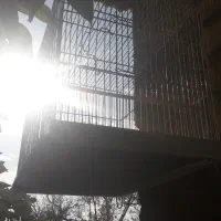 قفس بزرگ دست باف|لوازم جانبی حیوانات|مرودشت, شهرک مهدیه|دیوار