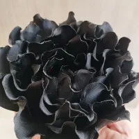 استامپ ورک جواهردوزی|لباس|سهند, |دیوار