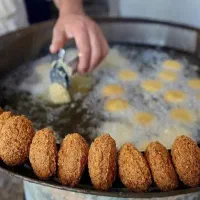 نیروماهرفلافلی
