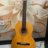 گیتار پارسیm2