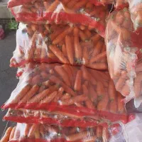 هویج عمده آبگیری مغازه درجه یک میدان تره بار مرکزی|خوردنی و آشامیدنی|تهران, میدان میوه و تره‌بار مرکزی|دیوار