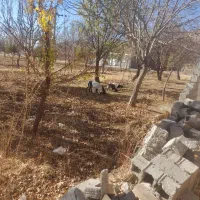 فروش بز و بزغاله|حیوانات مزرعه|قیدار, |دیوار