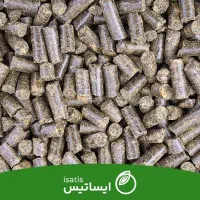 تفاله خشک چغندر